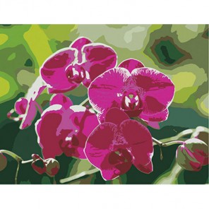 Ветка орхидеи Алмазная частичная вышивка (мозаика) на подрамнике Color Kit