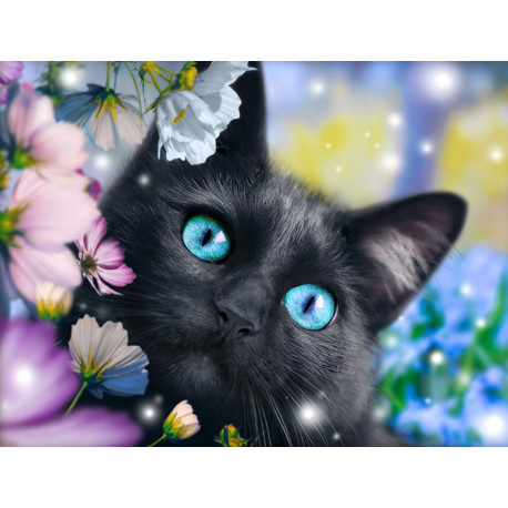  Черный кот в цветах Алмазная вышивка мозаика АЖ-1900