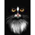 Черный кот Алмазная вышивка мозаика Алмазная живопись