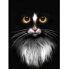  Черный кот Алмазная вышивка мозаика АЖ-1899
