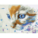 Котёнок Раскраска картина по номерам на холсте