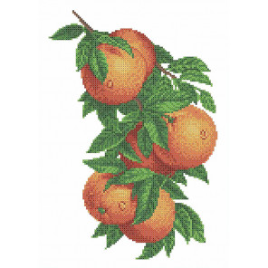  Апельсин Канва для вышивки Каролинка КК 062