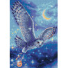  Волшебная сова Алмазная вышивка мозаика Риолис АМ0041