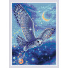 Вариант формления в рамке Волшебная сова Алмазная вышивка мозаика Риолис АМ0041