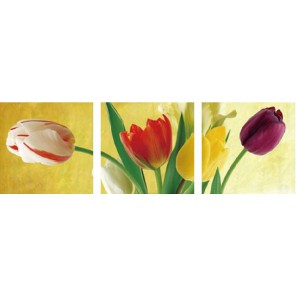 Радуга тюльпанов Триптих Раскраска по номерам акриловыми красками на холсте Menglei