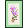  Орхидея Набор для вышивания Eva Rosenstand CW14-229