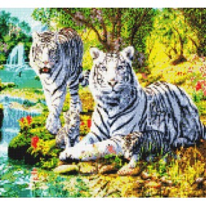 Семья белых тигров Алмазная вышивка (мозаика) Sddi Anya