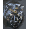  Черная пантера Раскраска картина по номерам CG2032