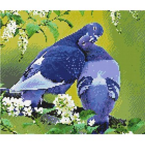 Голубь и голубка Алмазная вышивка (мозаика) Sddi Anya