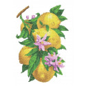 Ветка с лимонами Габардин с рисунком для вышивки бисером Каролинка