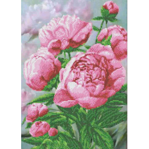  Розовые пионы Набор для вышивания бисером Каролинка КБЦН(Ч) 3048