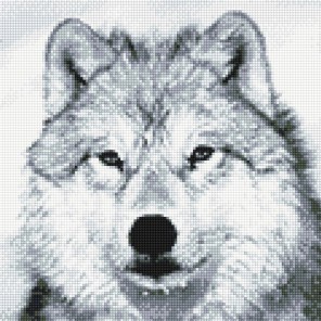 Волк Алмазная вышивка (мозаика) Sddi Anya