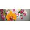  Нежные орхидеи Ткань с рисунком для вышивки бисером Конек 8496
