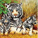 Тигры Ткань с рисунком для вышивки бисером Божья коровка