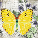 Бабочка 6 Ткань с рисунком для вышивки бисером Божья коровка