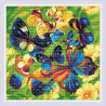 Вариант оформления в рамке Яркие бабочки Алмазная вышивка мозаика Brilliart АМ0038