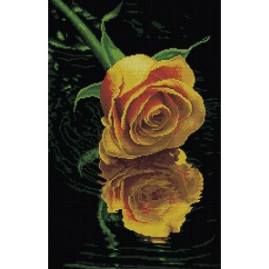 Отражение желтой розы Алмазная вышивка (мозаика) Timkee