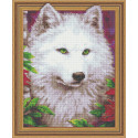Белая волчица Алмазная вышивка мозаика