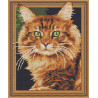  Рыжий кот Алмазная вышивка мозаика Color Kit TSGJ1022
