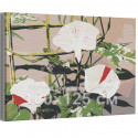 Японский вьюнок / Цветы 100х125 см Раскраска картина по номерам на холсте