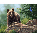 Сибирский бурый медведь Картина по номерам Molly