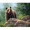  Сибирский бурый медведь Картина по номерам Molly KK0714