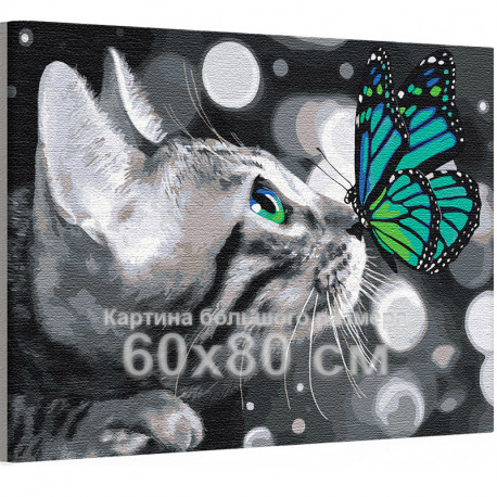  Котенок и яркая бабочка / Животные 60х80 см Раскраска картина по номерам на холсте с неоновой краской AAAA-RS162-60x80