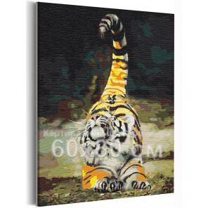  Тигр потягивается / Символ года / Животные 60х80 см Раскраска картина по номерам на холсте AAAA-RS396-60x80