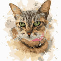 Домашняя кошка Раскраска картина по номерам на холсте Molly