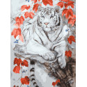 Бенгальский тигр Раскраска картина по номерам на цветном холсте Molly