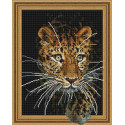 Леопард Алмазная мозаика с нанесенной рамкой на подрамнике Molly