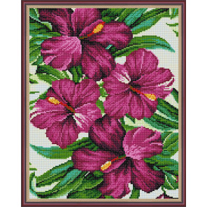  Тропические цветы Алмазная вышивка мозаика с нанесенной рамкой Molly KM1043