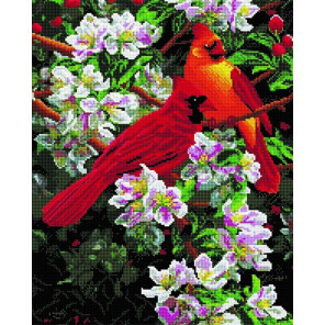  Яркие птички на яблоне Алмазная вышивка мозаика Арт Фея UA157