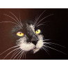 Черный кот Ткань с рисунком для вышивки бисером Матренин Посад