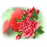  Роза Ткань с рисунком для вышивки бисером Матренин Посад 4130