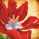 Красный тюльпан Ткань с рисунком для вышивки бисером МП Студия