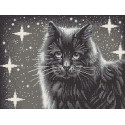 Черный кот Канва с рисунком для вышивки Конек