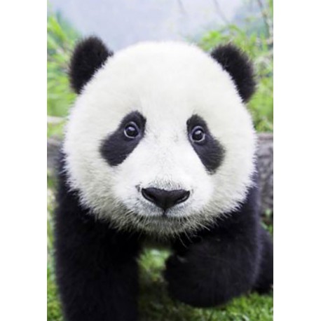 Любопытная панда Алмазная вышивка (мозаика) Гранни