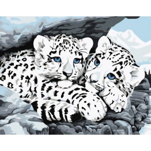 Снежные леопарды Раскраска ( картина ) по номерам акриловыми красками на холсте Белоснежка