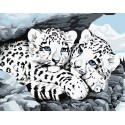 Снежные леопарды Раскраска ( картина ) по номерам на холсте Белоснежка