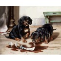 Два щенка Раскраска ( картина ) по номерам на холсте Русская живопись