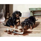 Два щенка Раскраска ( картина ) по номерам акриловыми красками на холсте Русская живопись