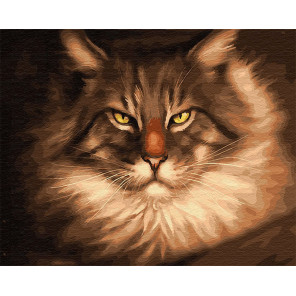  Взгляд кота Раскраска картина по номерам на холсте ZX 22649