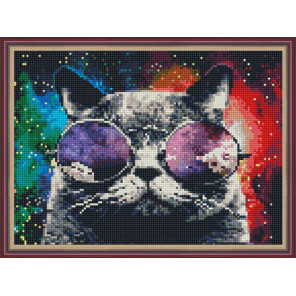  Космический кот Алмазная вышивка мозаика на подрамнике EQ10346