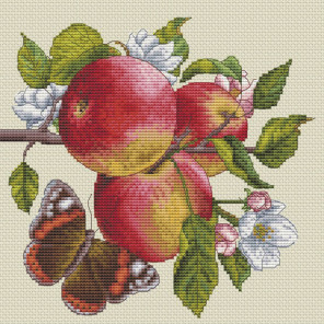  Яблоки на ветке Набор для вышивания Белоснежка 226-14