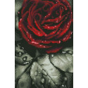 Хрустальная роза Алмазная вышивка мозаика АртФея
