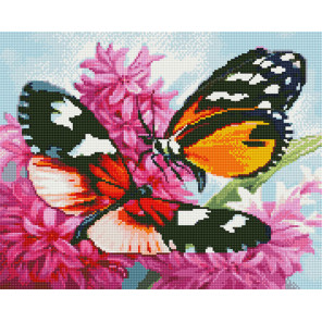  Бабочки на цветке Алмазная вышивка мозаика без подрамника GJW5015