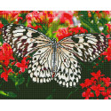 Белая бабочка Алмазная вышивка мозаика без подрамника