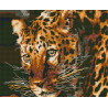 Леопард Алмазная вышивка мозаика без подрамника GJW2327