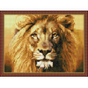 Портрет льва Алмазная вышивка мозаика на подрамнике
